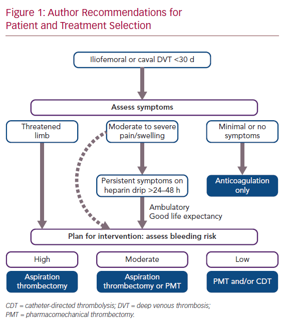 Catheter Interventions for Acute Deep Venous Thrombosis: Who, When and How