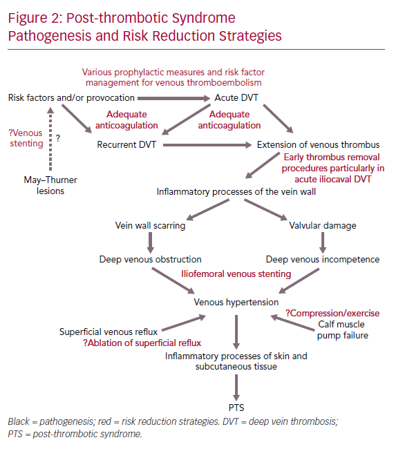 Elastic Compression Stockings foundation therapy for reducing risk of  post-thrombotic syndrome